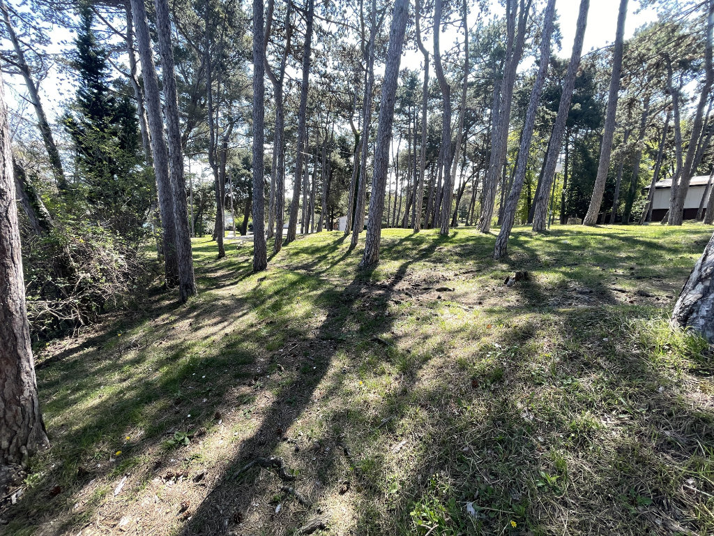 Morje_apr21_IMG_9161