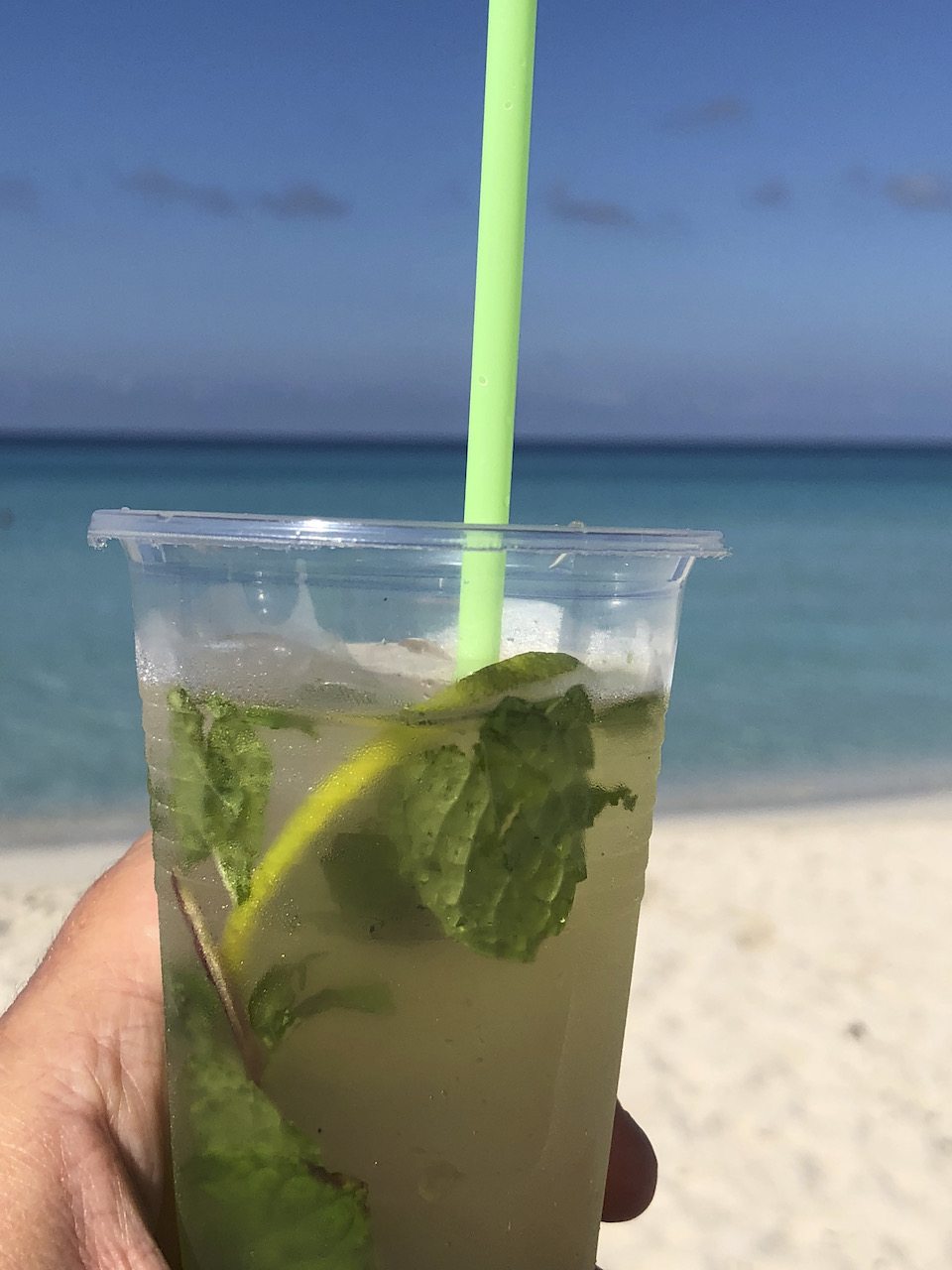 Smrekce_2017_IMG_6714