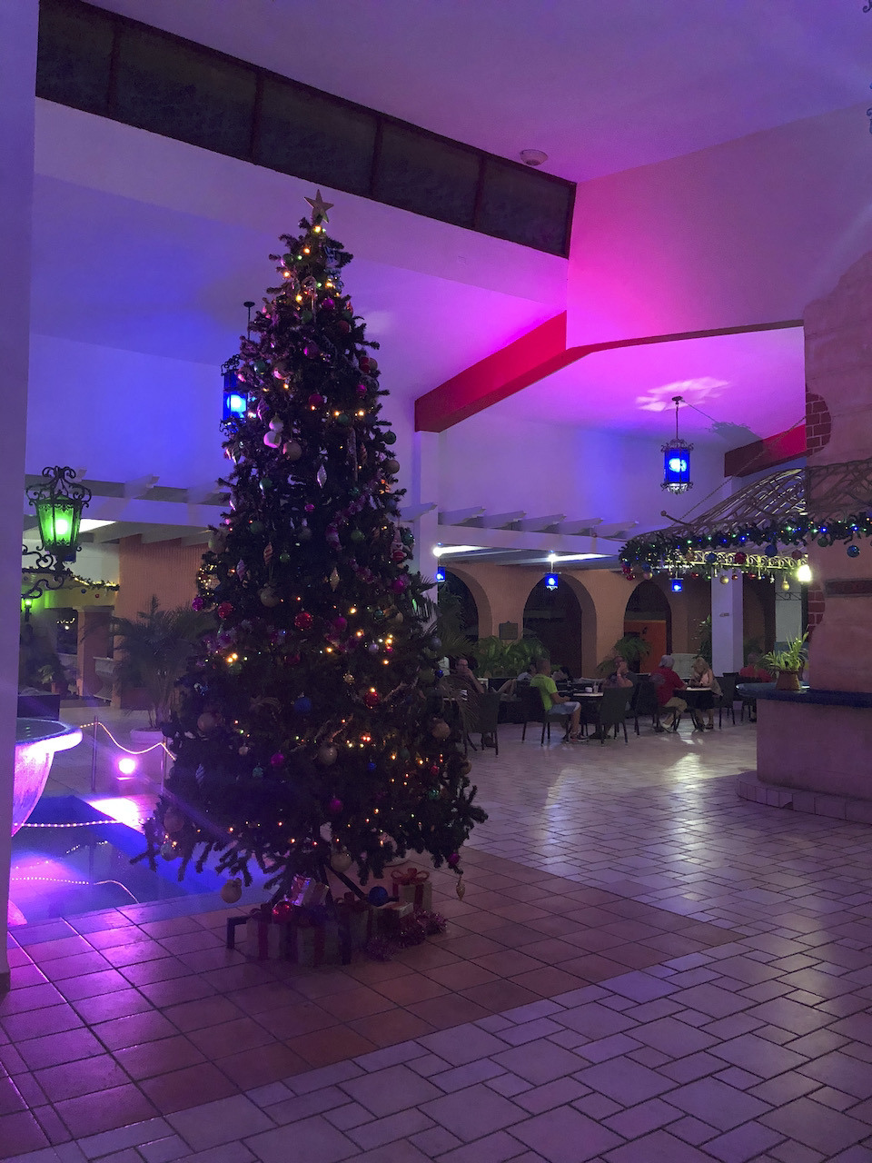 Smrekce_2017_IMG_6862