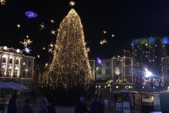 KuhaneLučke17_IMG_1768