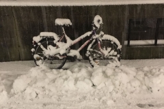 KuhaneLučke17_IMG_1809