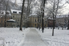 KuhaneLučke17_IMG_1824