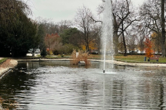 4_MS_IMG_4576