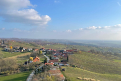D_IMG_4685