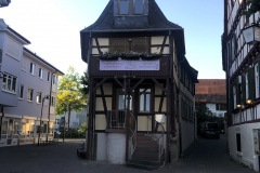 02_sinsheim_IMG_2295