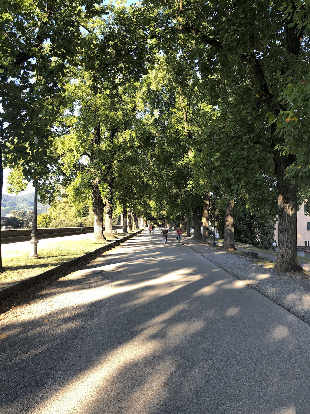 Lucca_IMG_7783