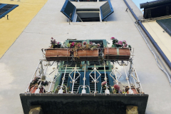 Lucca_IMG_7797