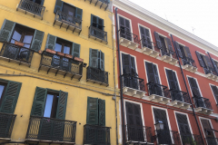 Sarda2019_IMG_7209