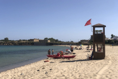 Sarda2019_IMG_7240