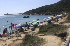 Sarda2019_IMG_7274