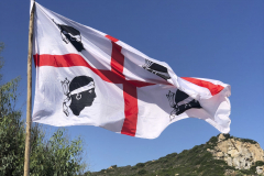 Sarda2019_IMG_7286