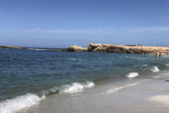 Sarda2019_IMG_7353