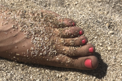 Sarda2019_IMG_7358