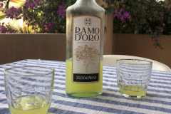 Sarda2019_IMG_7381