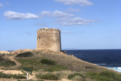 Sarda2019_IMG_7391