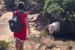 Sarda2019_IMG_7408