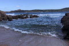 Sarda2019_IMG_7415