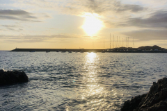 Sarda2019_IMG_7438