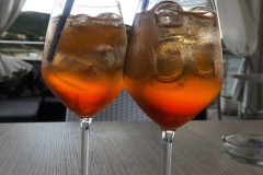 Sarda2019_IMG_7510
