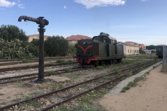 Sarda2019_IMG_7543