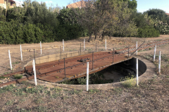 Sarda2019_IMG_7554