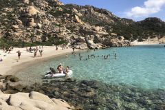 Sarda2019_IMG_7597