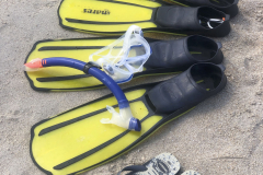 Sarda2019_IMG_7601