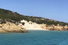 Sarda2019_IMG_7646