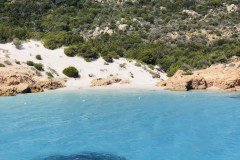 Sarda2019_IMG_7652