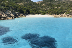 Sarda2019_IMG_7656