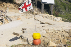 Sarda2019_IMG_7668