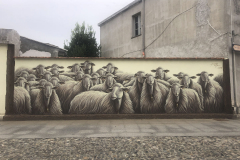 Sardinia2020_IMG_3822