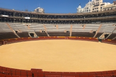Vale_IMG_2877