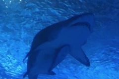 Vale_IMG_3255