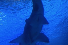 Vale_IMG_3260
