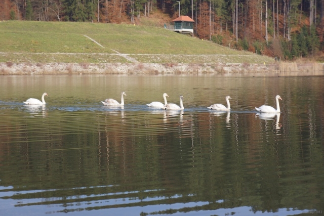 gr_jezero-05