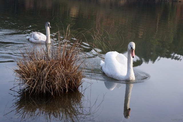 gr_jezero-06