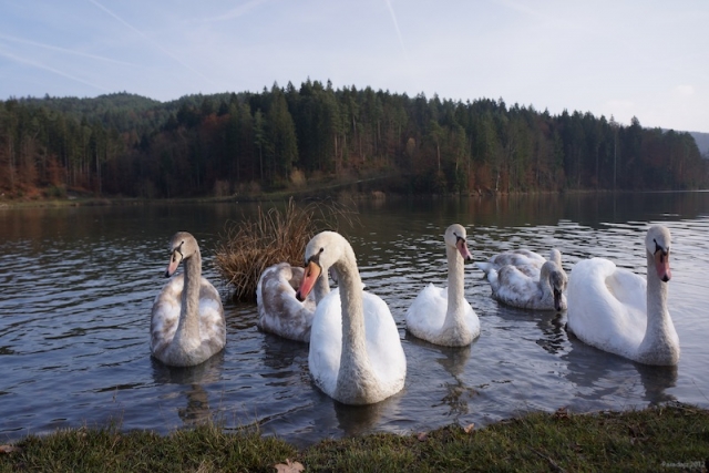 gr_jezero-07