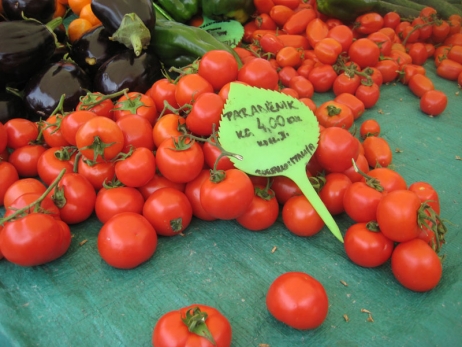 paradajz_april_2010
