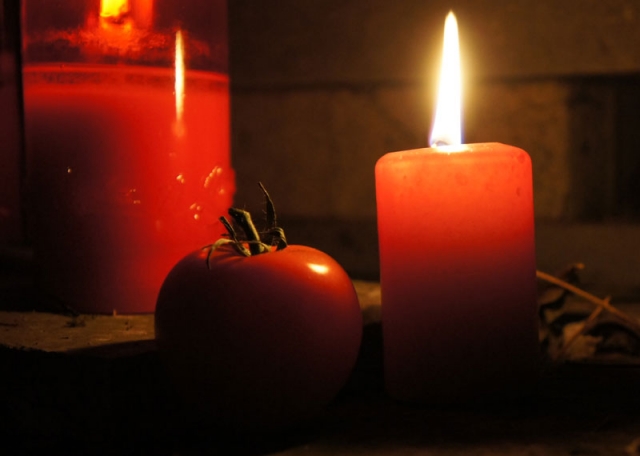 paradajz_november2010